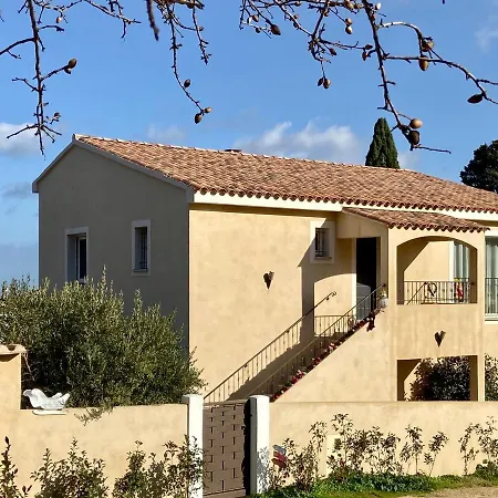 Chjosella 150m2 Piscine Et Au Calme Villa